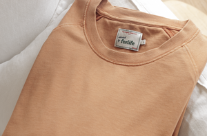 main_slideshow | color_orange délavé