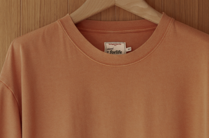 main_slideshow | color_Faded Orange