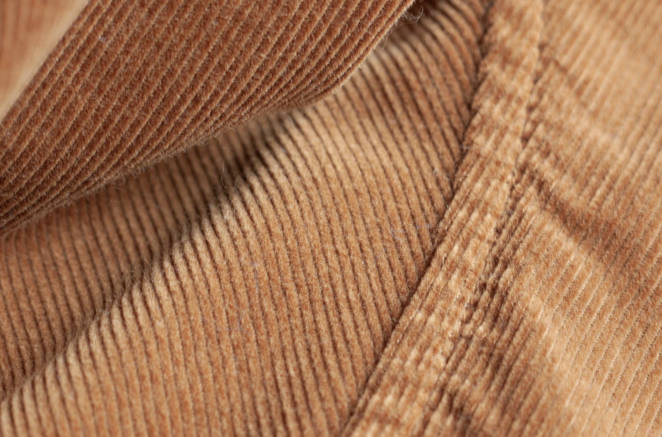 main_slideshow | color_cognac