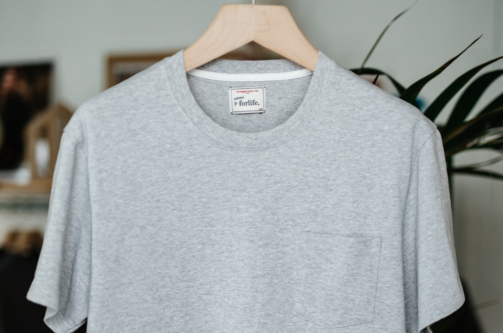 main_slideshow | color_gris clair