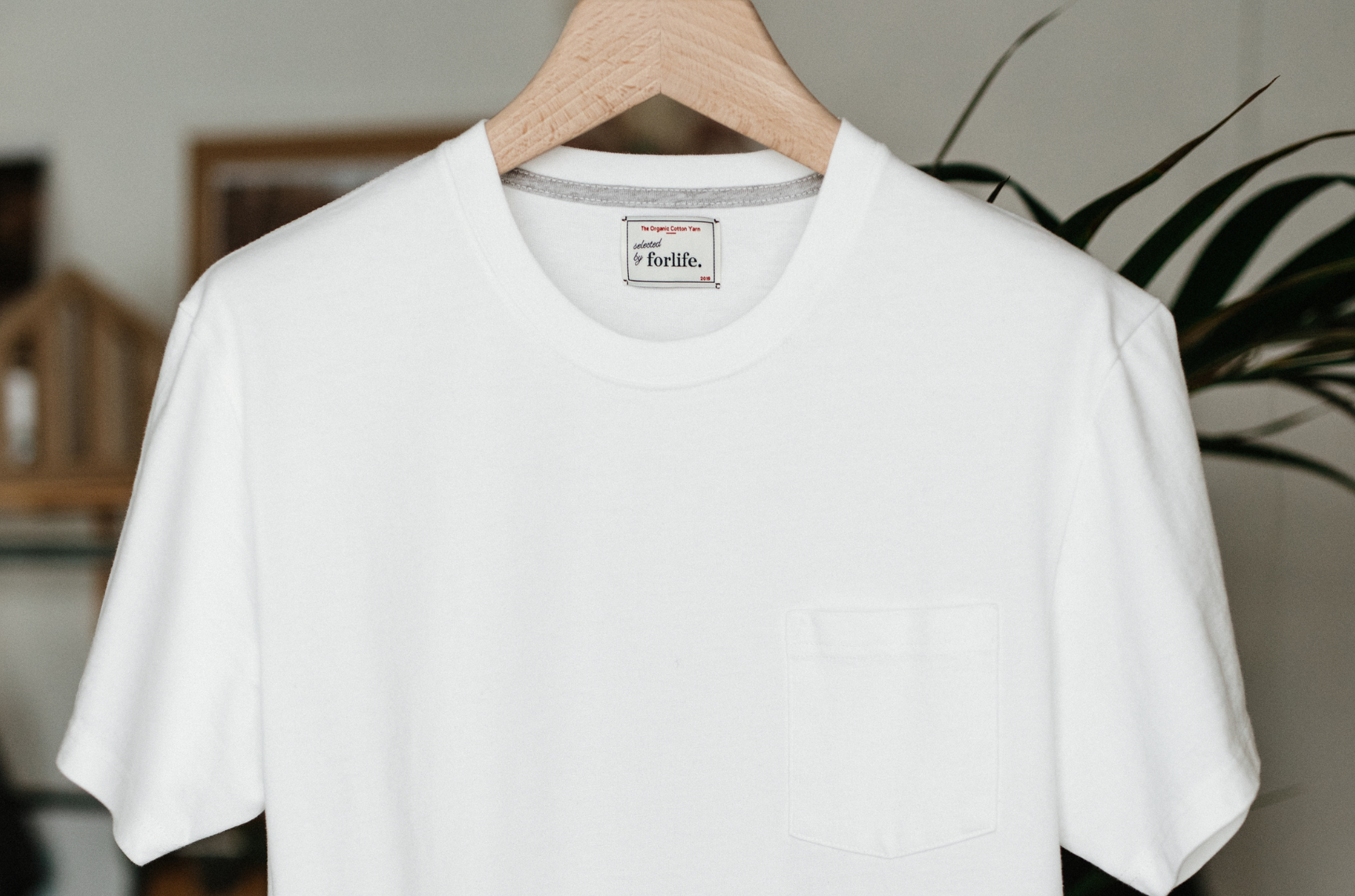 main_slideshow | color_Blanc