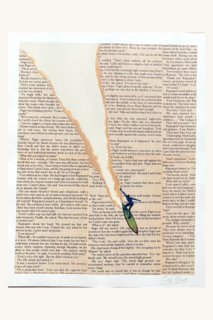 | product_colors_reading mavericks